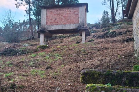 Villa i Ceivaes e Badim, Viana do Castelo, Ceivaes e Badim - € 67.000 | Ref: SF-SAFTI:007805 - foto 8