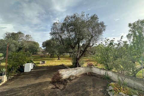 Villa i Ostuni, Brindisi, Ostuni - € 90.000 | Ref: 857 - foto 7