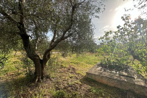 Villa i Ostuni, Brindisi, Ostuni - € 90.000 | Ref: 857 - foto 8