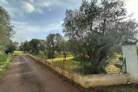 Villa i Ostuni, Brindisi, Ostuni - € 90.000 | Ref: 857 - foto 10