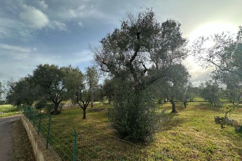 Villa i Ostuni, Brindisi, Ostuni - € 90.000 | Ref: 857 - foto 12