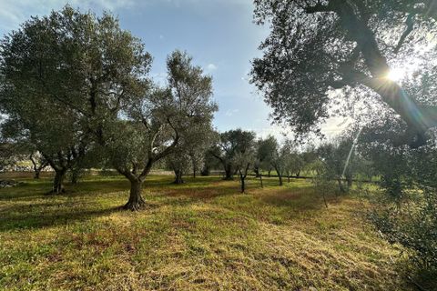Villa i Ostuni, Brindisi, Ostuni - € 90.000 | Ref: 857 - foto 13