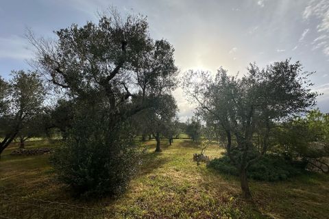 Villa i Ostuni, Brindisi, Ostuni - € 90.000 | Ref: 857 - foto 15