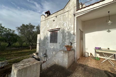 Villa i Ostuni, Brindisi, Ostuni - € 90.000 | Ref: 857 - foto 16