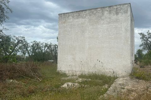 Villa i Ostuni, Brindisi, Ostuni - € 50.000 | Ref: 863 - foto 2