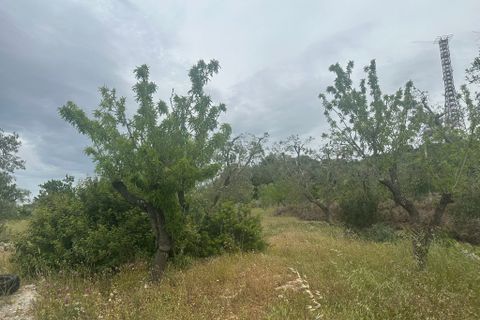 Villa i Ostuni, Brindisi, Ostuni - € 50.000 | Ref: 863 - foto 3