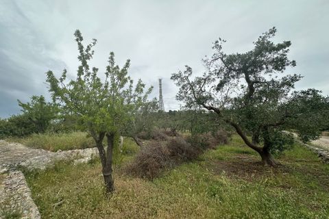 Villa i Ostuni, Brindisi, Ostuni - € 50.000 | Ref: 863 - foto 4