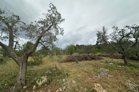 Villa i Ostuni, Brindisi, Ostuni - € 50.000 | Ref: 863 - foto 5
