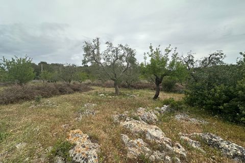 Villa i Ostuni, Brindisi, Ostuni - € 50.000 | Ref: 863 - foto 6