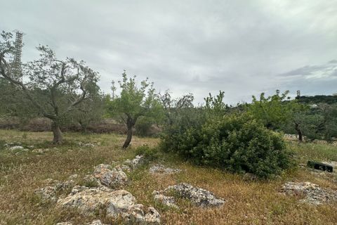 Villa i Ostuni, Brindisi, Ostuni - € 50.000 | Ref: 863 - foto 7