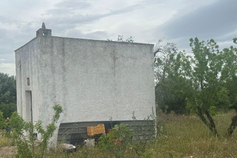 Villa i Ostuni, Brindisi, Ostuni - € 50.000 | Ref: 863 - foto 8
