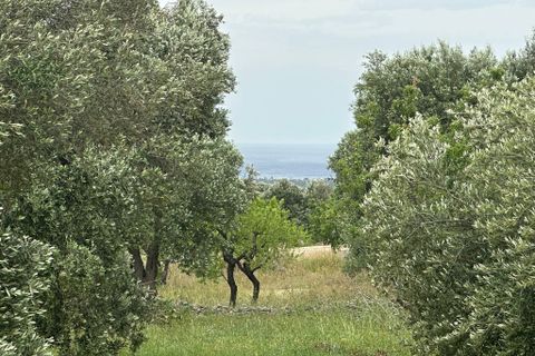 Villa i Ostuni, Brindisi, Ostuni - € 50.000 | Ref: 863 - foto 9