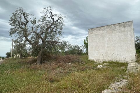 Villa i Ostuni, Brindisi, Ostuni - € 50.000 | Ref: 863 - foto 10