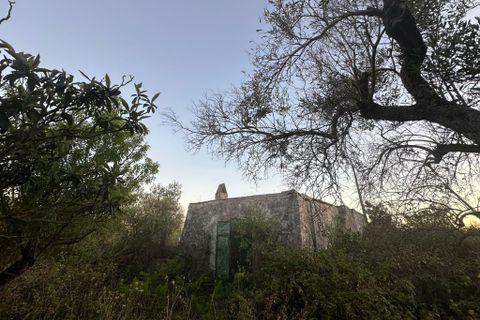 Villa i Ostuni, Brindisi, Ostuni - € 140.000 | Ref: 882 - foto 4