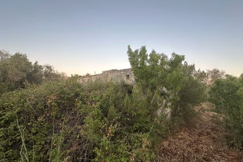 Villa i Ostuni, Brindisi, Ostuni - € 140.000 | Ref: 882 - foto 6