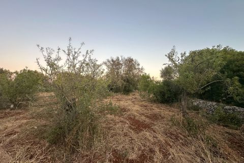 Villa i Ostuni, Brindisi, Ostuni - € 140.000 | Ref: 882 - foto 8