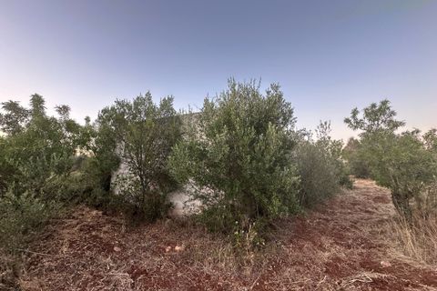 Villa i Ostuni, Brindisi, Ostuni - € 140.000 | Ref: 882 - foto 9