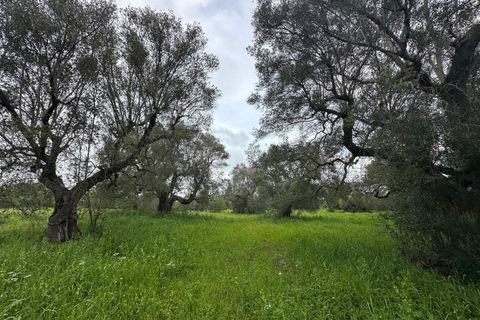 Villa i Ostuni, Brindisi, Ostuni - € 140.000 | Ref: 882 - foto 13