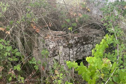 Villa i Ostuni, Brindisi, Ostuni - € 140.000 | Ref: 882 - foto 14