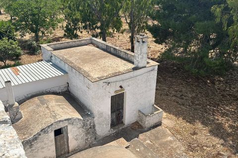 Villa i Ostuni, Brindisi, Ostuni - € 340.000 | Ref: 892 - foto 7