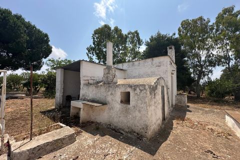 Villa i Ostuni, Brindisi, Ostuni - € 340.000 | Ref: 892 - foto 24