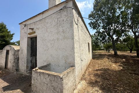 Villa i Ostuni, Brindisi, Ostuni - € 340.000 | Ref: 892 - foto 25
