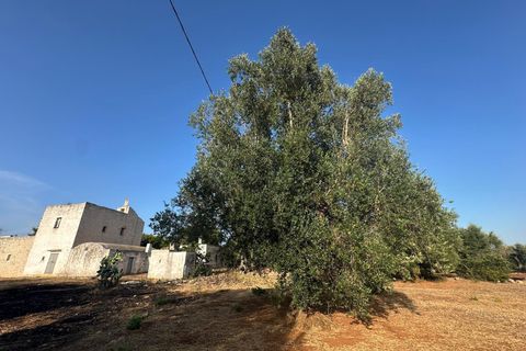Villa i Ostuni, Brindisi, Ostuni - € 340.000 | Ref: 892 - foto 36
