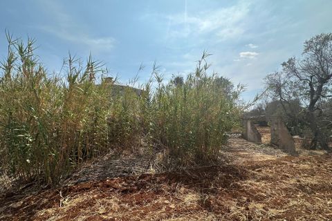 Villa i Ostuni, Brindisi, Ostuni - € 60.000 | Ref: 899 - foto 5