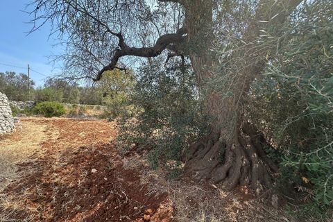 Villa i Ostuni, Brindisi, Ostuni - € 60.000 | Ref: 899 - foto 7
