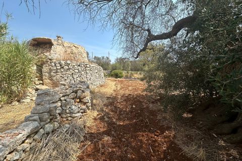 Villa i Ostuni, Brindisi, Ostuni - € 60.000 | Ref: 899 - foto 8