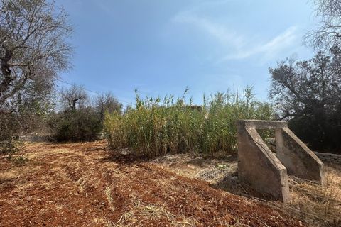 Villa i Ostuni, Brindisi, Ostuni - € 60.000 | Ref: 899 - foto 9