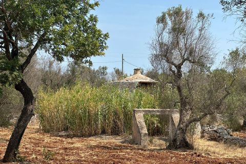 Villa i Ostuni, Brindisi, Ostuni - € 60.000 | Ref: 899 - foto 12