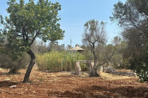 Villa i Ostuni, Brindisi, Ostuni - € 60.000 | Ref: 899 - foto 14