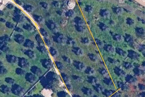 Villa i Ostuni, Brindisi, Ostuni - € 60.000 | Ref: 899 - foto 15