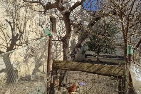 Villa i Adelfia, Bari, Adelfia - € 160.000 | Ref: M232 - foto 13