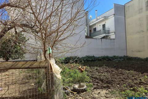 Villa i Adelfia, Bari, Adelfia - € 160.000 | Ref: M232 - foto 14
