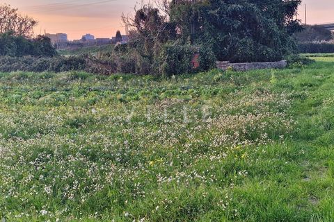 Helårsgrund i Aveiro, Aveiro, Aveiro - € 96.000 | Ref: AV2836 - foto 5