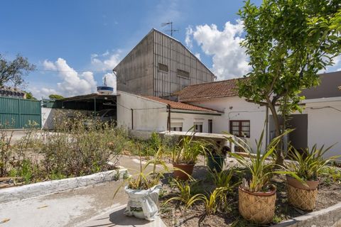 Landejendom i Ovar, Aveiro, Ovar - € 260.000 | Ref: 368-OVR - foto 26