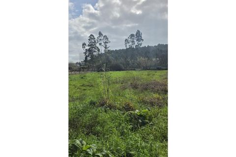 Terra a Barro, Aveiro, Barro - € 48.650 | Ref: KWPT-028713 - foto 3