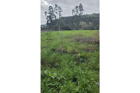 Terra a Barro, Aveiro, Barro - € 48.650 | Ref: KWPT-028713 - foto 5