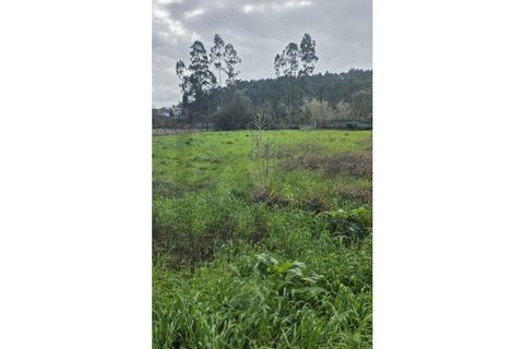 Terra a Barro, Aveiro, Barro - € 48.650 | Ref: KWPT-028713 - foto 6