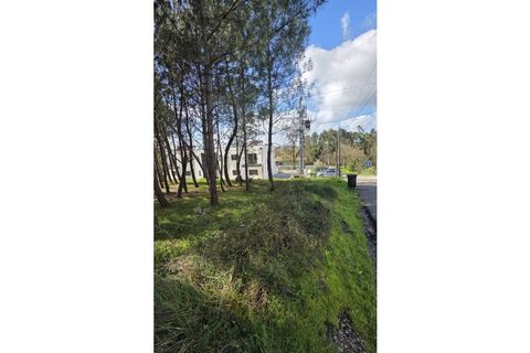 Helårsgrund i Oliveira do Bairro, Aveiro, Oliveira do Bairro - € 48.650 | Ref: KWPT-028700 - foto 1
