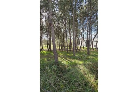 Helårsgrund i Oliveira do Bairro, Aveiro, Oliveira do Bairro - € 48.650 | Ref: KWPT-028700 - foto 2