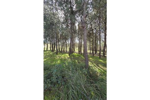 Helårsgrund i Oliveira do Bairro, Aveiro, Oliveira do Bairro - € 48.650 | Ref: KWPT-028700 - foto 4