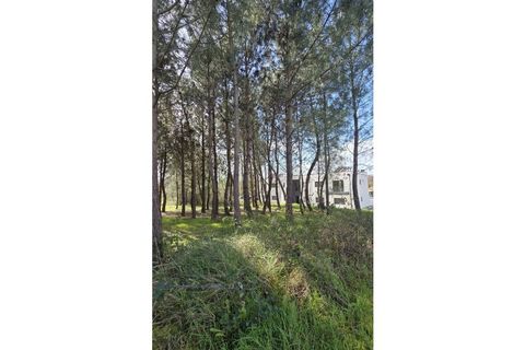 Helårsgrund i Oliveira do Bairro, Aveiro, Oliveira do Bairro - € 48.650 | Ref: KWPT-028700 - foto 5