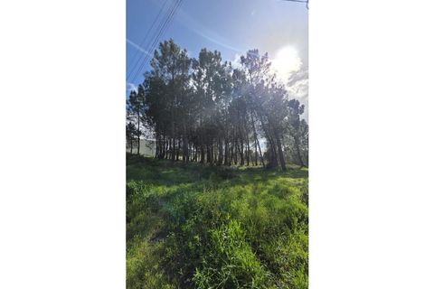 Helårsgrund i Oliveira do Bairro, Aveiro, Oliveira do Bairro - € 48.650 | Ref: KWPT-028700 - foto 6