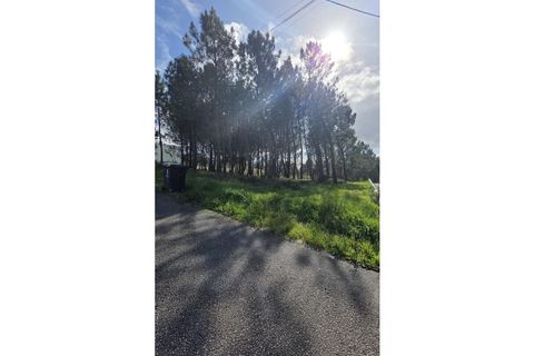 Helårsgrund i Oliveira do Bairro, Aveiro, Oliveira do Bairro - € 48.650 | Ref: KWPT-028700 - foto 7