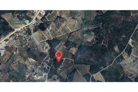 Helårsgrund i Viseu, Viseu, Viseu - € 30.000 | Ref: KWPT-028852 - foto 2