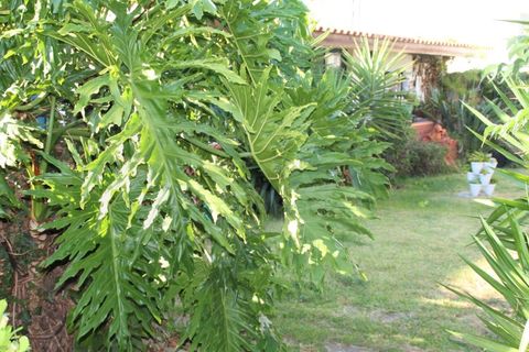 Villa a Estarreja, Aveiro, Estarreja - € 320.000 | Ref: AV22/144 - foto 3