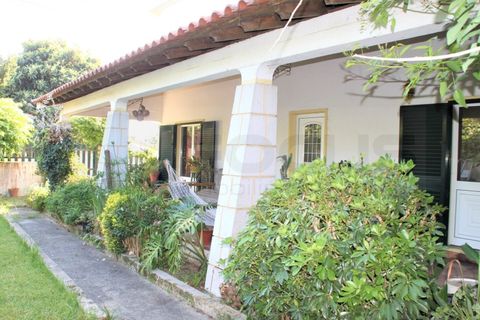 Villa a Estarreja, Aveiro, Estarreja - € 320.000 | Ref: AV22/144 - foto 11